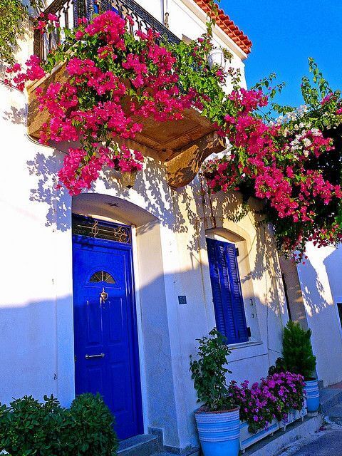 מרפסות יפות עיצוב מרפסות שילובי צבעים בוגונוויליה ורודה על רקע דלתות כחול עמוק