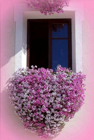 מרפסות יפות עיצוב מרפסת רומנטית עם לב פרחים